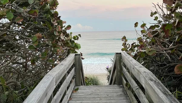 A wooden beach boardwalk leading between green sea grapes toward a sandy beach and calm ocean under a soft sky.