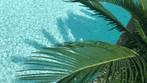 While Palm Beach offers mental health treatment options, Destination Hope in Fort Lauderdale provides an excellent alternative with several advantages