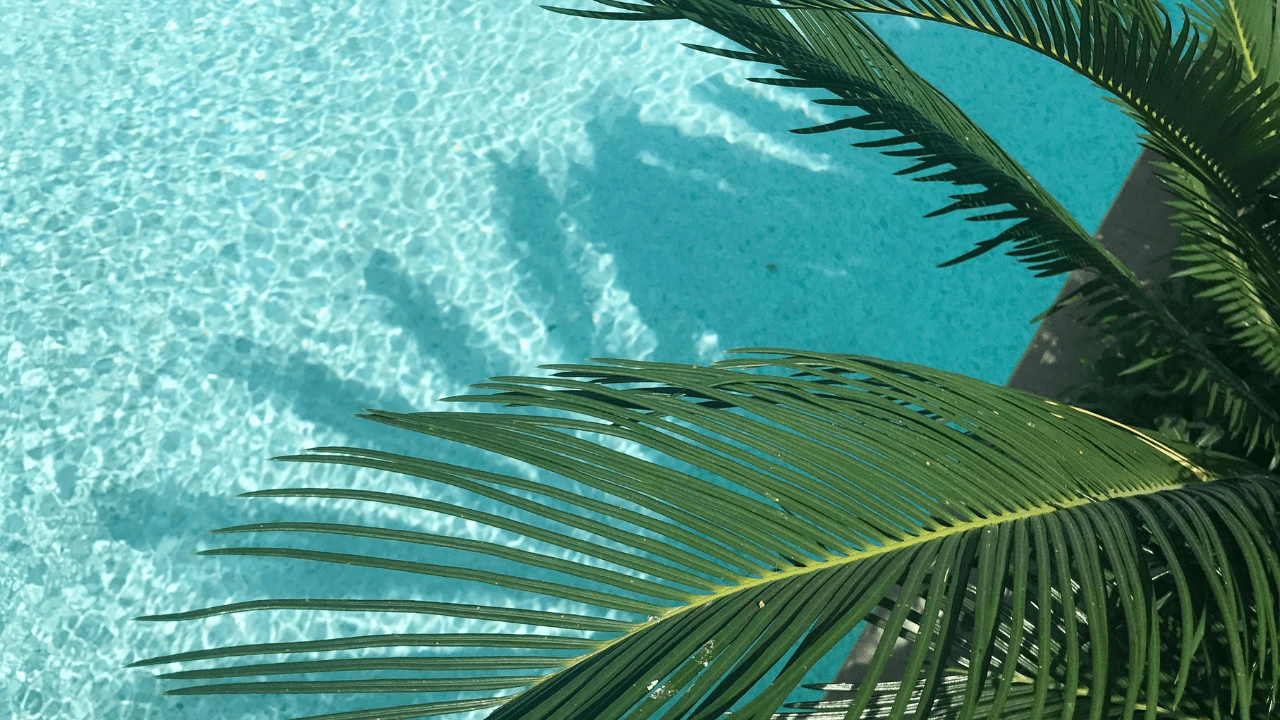 While-Palm-Beach-offers-mental-health-treatment-options-Destination-Hope-in-Fort-Lauderdale-provides-an-excellent-alternative-with-several-advantages.png